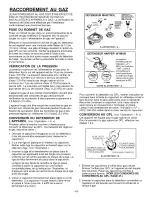 Предварительный просмотр 43 страницы Jenn-Air JDS9860AAW Installation Manual