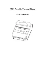 KaiCong P58A User Manual preview