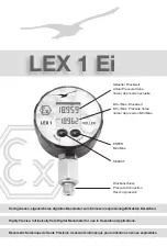 Keller-druck LEX 1 Ei Manual preview