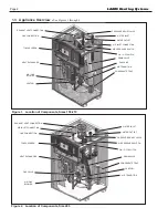 Предварительный просмотр 6 страницы Laars NTV Installation And Operation Instructions Manual