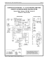 Preview for 19 page of Laars VW Installation & Operation Manual