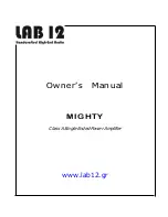 Lab 12 MIGHTY Owner'S Manual preview