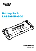 Lab599 BP-500 User Manual preview