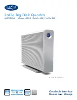 LaCie big disk quadra Brochure & Specs preview