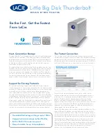 LaCie Little Big Disk Datasheet preview