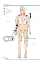 Предварительный просмотр 8 страницы laerdal Resusci Anne User Manual