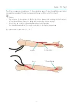 Предварительный просмотр 29 страницы laerdal Resusci Anne User Manual