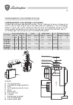 Предварительный просмотр 35 страницы Lamborghini Caloreclima 20 MCS W TOP U/IT Installation And Maintenance Manual