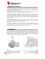 Предварительный просмотр 42 страницы Lamborghini Caloreclima ECO 3 Installation And Maintenance Manual