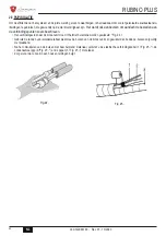 Предварительный просмотр 42 страницы Lamborghini Caloreclima RUBINO PLUS Use And Maintenance Manual