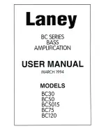 Laney BC30 User Manual preview