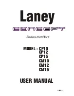 Laney CP10 User Manual preview