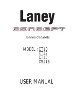 Laney CT10 User Manual preview