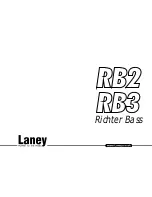 Laney Richter Bass RB2 Instructions Manual preview