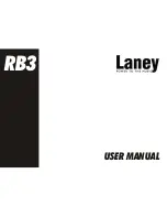 Laney Richter Bass RB3 User Manual preview