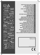Lavor Giant 20 PRO Manual предпросмотр