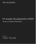 M-Audio DSM1 User Manual preview