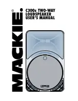 Mackie C300 User Manual preview