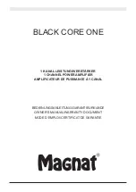 Magnat Audio BLACK CORE ONE Owner'S Manual/Warranty Document preview