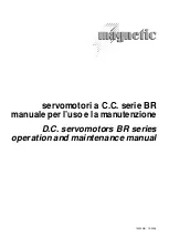 Magnetic BR Series Operation And Maintenance Manual preview