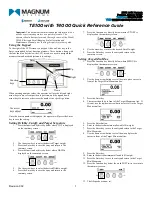 Magnum TE100 Quick Reference Manual preview