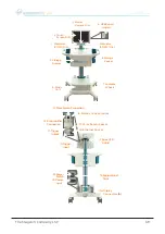 Preview for 39 page of MAGSTIM NEUROSIGN V4 User Manual