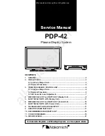 Nakamichi PDP-42 Service Manual preview