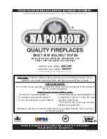 Napoleon BGD38NT Installation And Operation Instructions Manual preview