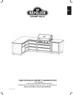 Napoleon OASIS MODULAR CABINET Manual preview