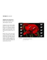 Preview for 4 page of NEC X461UN - MultiSync - 46" LCD Flat Panel... Brochure & Specs