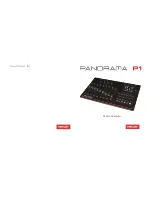 Nektar Panorama P1 User Manual preview