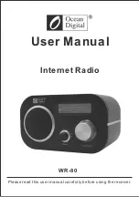 Ocean Digital WR-80 User Manual предпросмотр