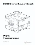 Oki C9600 Series Printing Manual preview