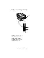 Предварительный просмотр 19 страницы Oki ES3037 User Manual