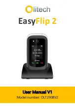 Olitech EasyFlip 2 User Manual preview