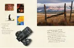 Preview for 7 page of Olympus D1400 Brochure & Specs