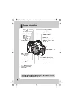 Preview for 2 page of Olympus E620 - Evolt 12.3MP Live MOS Digital SLR... Manual De Instruções