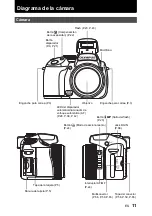 Preview for 11 page of Olympus SP 570 - UZ Digital Camera Manual Avanzado
