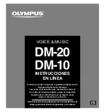 Olympus VOICE & MUSIC DM-10 Instrucciones En Línea preview