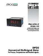 Omega DP20 User Manual preview