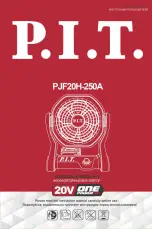 Preview for 1 page of P.I.T. PJF20H-250A Manual