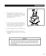 Предварительный просмотр 48 страницы Pace PROGRAMMABLE THERMOFLO Operation & Maintenance Manual