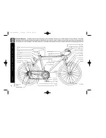 Предварительный просмотр 8 страницы Pacific Bicycle Owner'S Manual