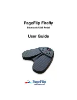 PageFlip Firefly User Manual предпросмотр