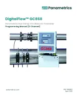 Preview for 1 page of Panametrics DigitalFlow GC868 Programming Manual