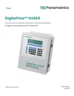 Panametrics DigitalFlow GS868 Programming Manual preview