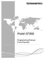 Preview for 1 page of Panametrics GF868 Programming Manual