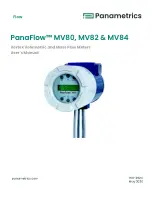 Preview for 1 page of Panametrics PanaFlow MV80 User Manual