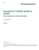 Preview for 3 page of Panametrics PanaFlow MV80 User Manual