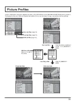 Предварительный просмотр 31 страницы Panasonic TH-50PF50U Operating Instructions Manual